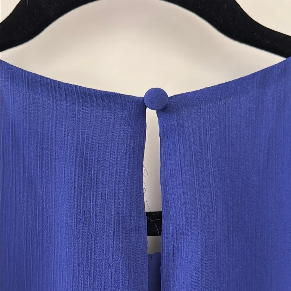 Express Blue Ruched Dress - Picture 4 of 6